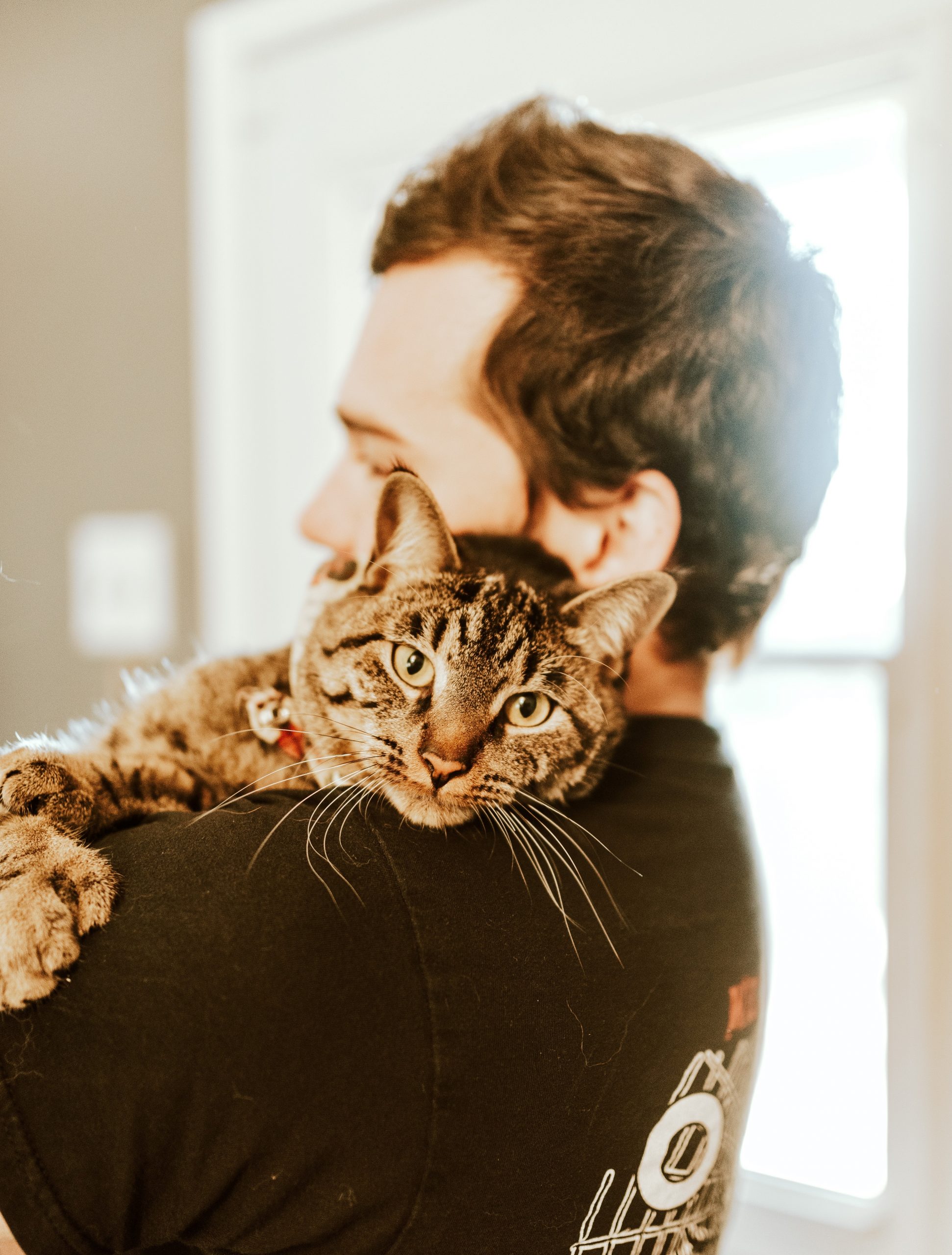 Man with short brown hair wearing a black t-shirt, cuddling a cat with brown and grey fur.